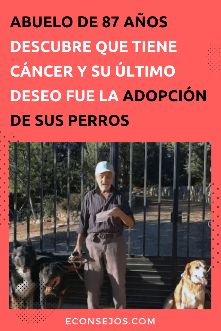 Adopción de perros