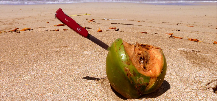 agua de coco como tomar