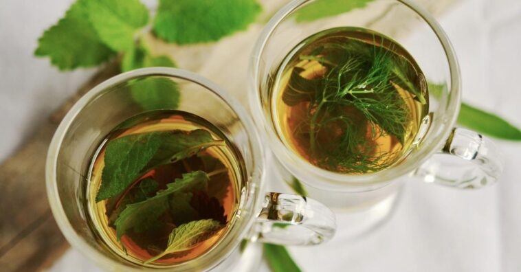 albahaca y salvia para depurar los riñones