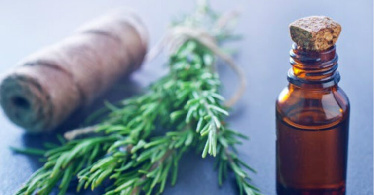 alcohol de castaño de indias y romero