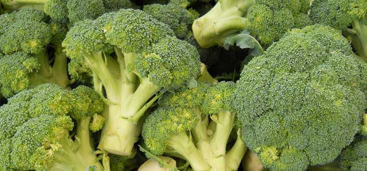 alimentos antiinflamatorios brocoli