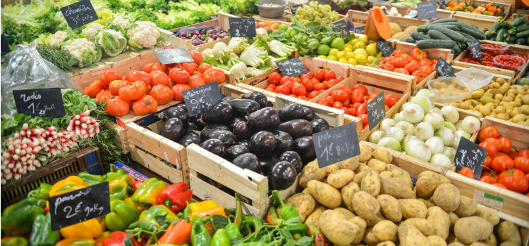 alimentos que comer