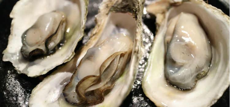 alimentos ricos en omega 3 ostras