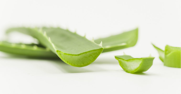 jugo de aloe vera