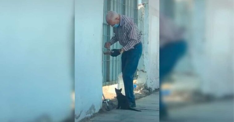 anciano va a diario a una casa abandonado para darle de comer y de beber a un gato