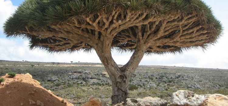 Sitios en la Tierra que parecen de otro planeta