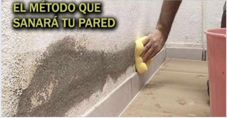 arreglar una pared que tiene humedad sin gastar mucho