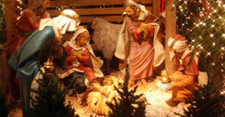 desmontar el árbol de Navidad