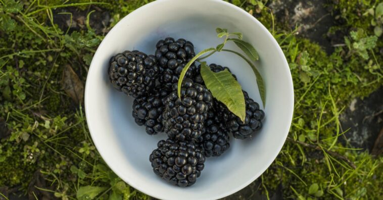 Beneficios de la mora para la salud