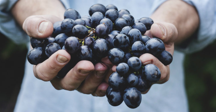 beneficios de las uvas