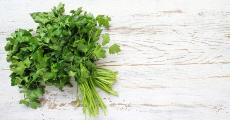 beneficios del perejil para la salud