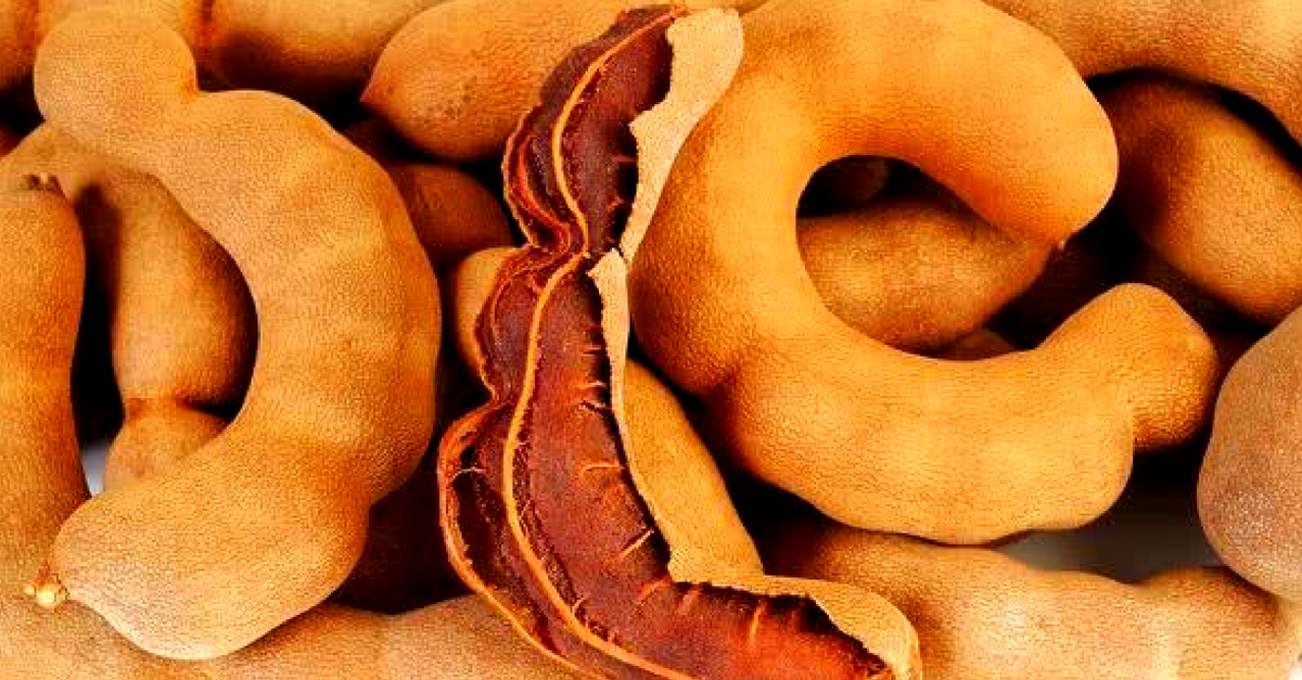 Tamarindo qué es, propiedades y recetas