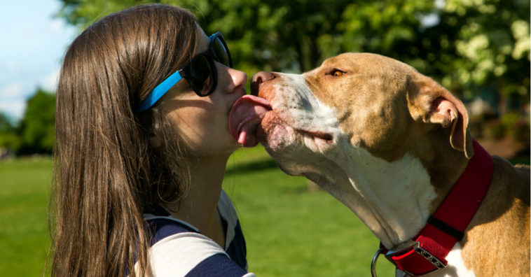 besar mascotas puede provocar cáncer