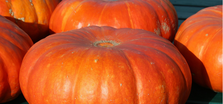 calabaza