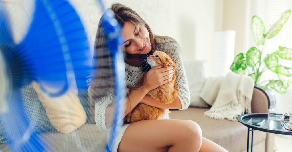 5 Consejos para enfriar la casa sin gastar en aire acondicionado