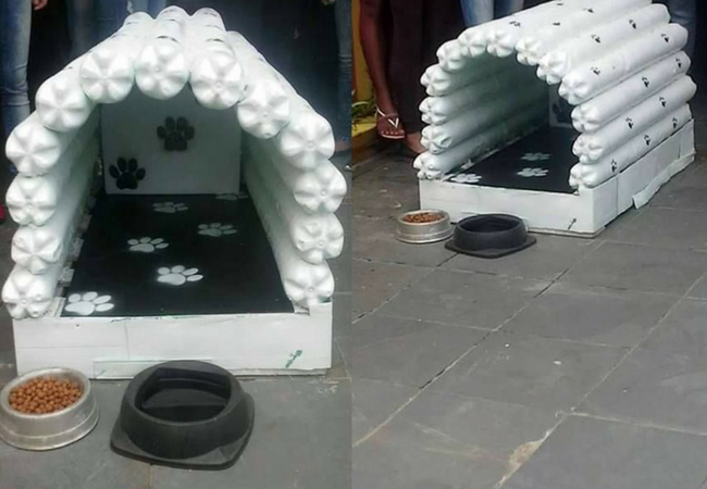  casa para los perros