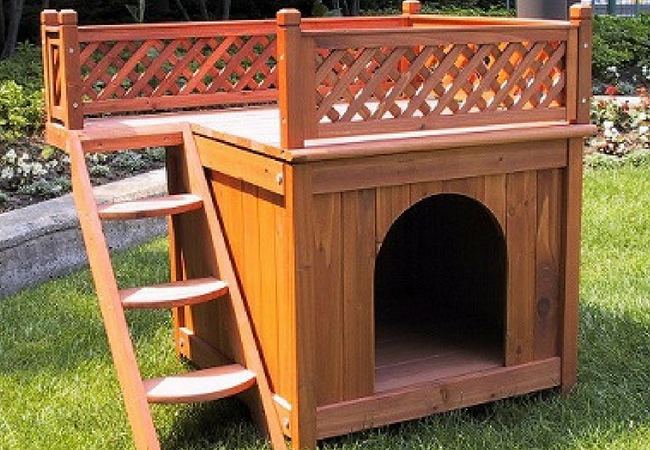 casa para los perros