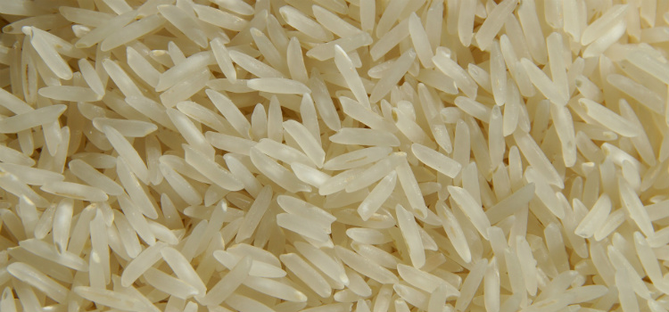 cereales integrales arroz