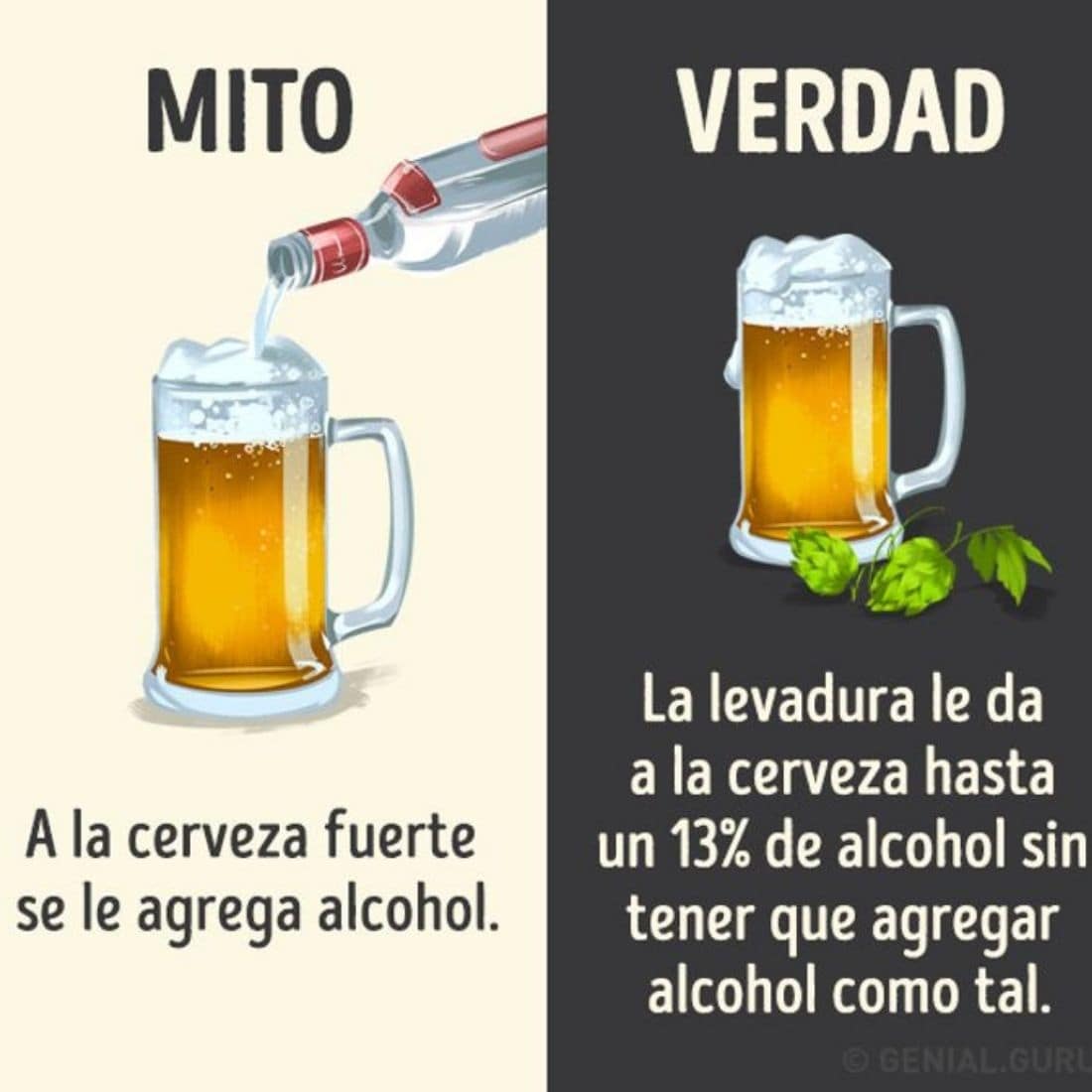 Mitos que hay que olvidar sobre algunas bebidas