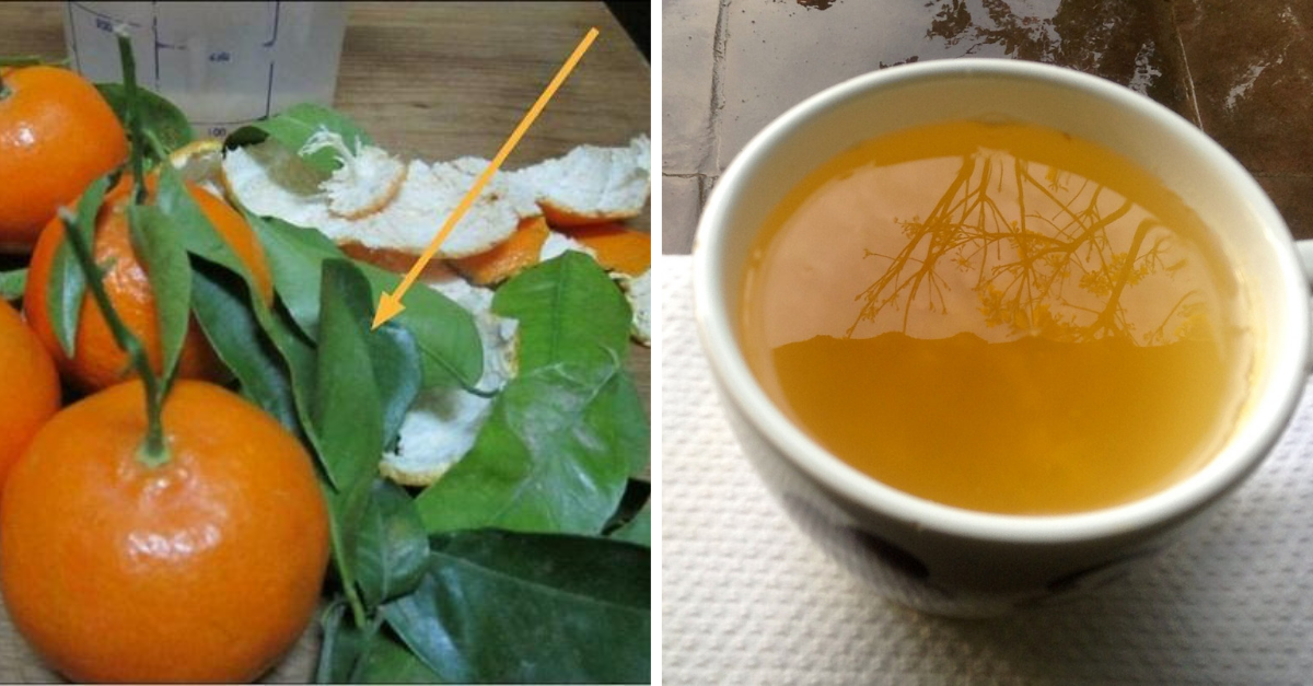 Té de hojas de naranja descubre para qué sirve y cómo prepararlo