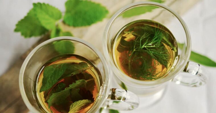 Té para la sinusitis