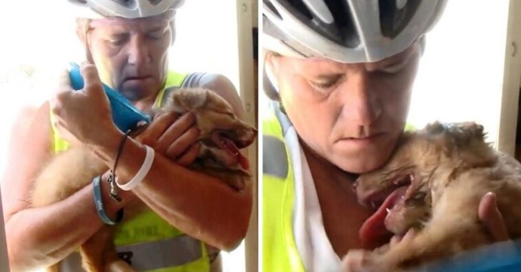 ciclista salva a un perrito que encontró abandonado en el desierto