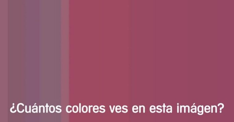 colores consigues distinguir