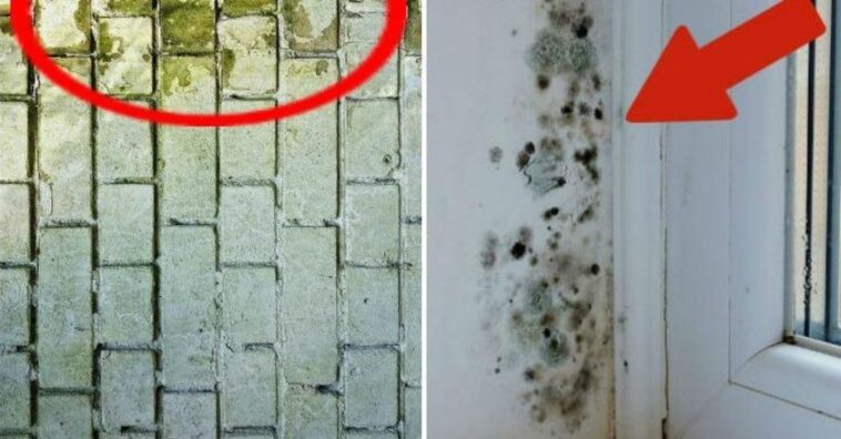 combatir la humedad en tu casa