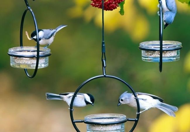 Cómo hacer comederos para pájaros