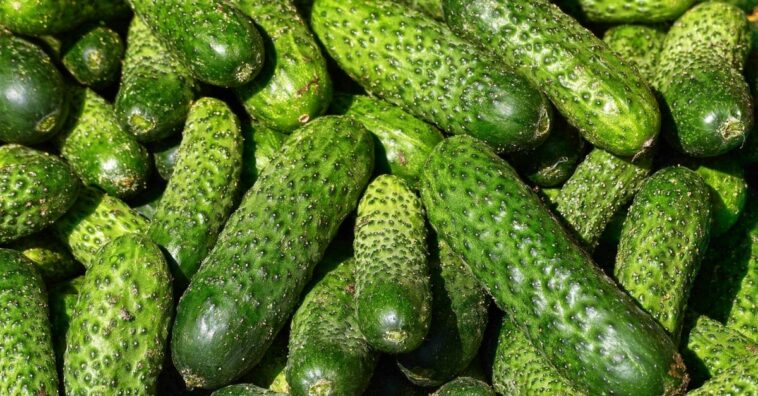 es malo comer pepino por la noche
