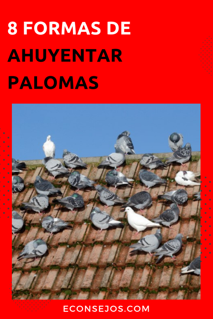 ahuyentar palomas