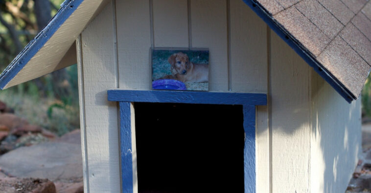 casa para los perros