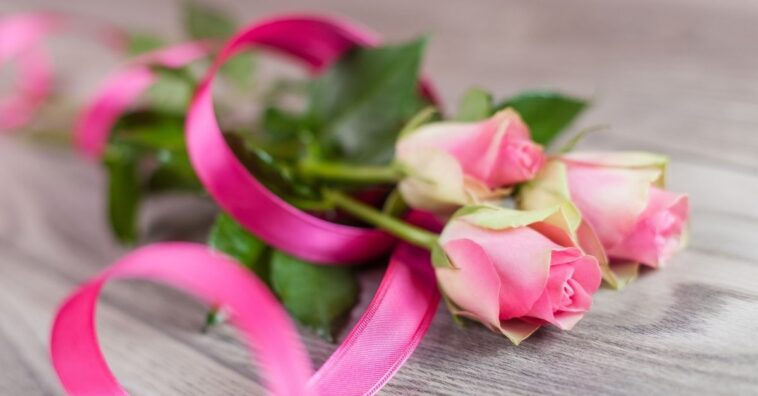 plantar una rosa que venía en un ramo