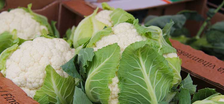 congelar coliflor cruda