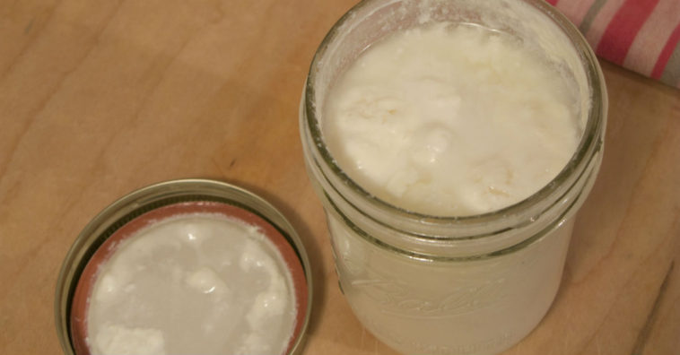 contraindicacciones del kefir