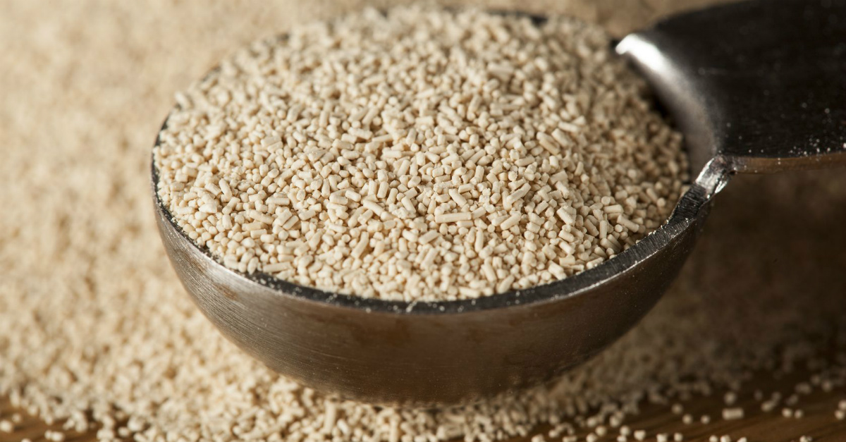 8 Contraindicaciones de la levadura de cerveza