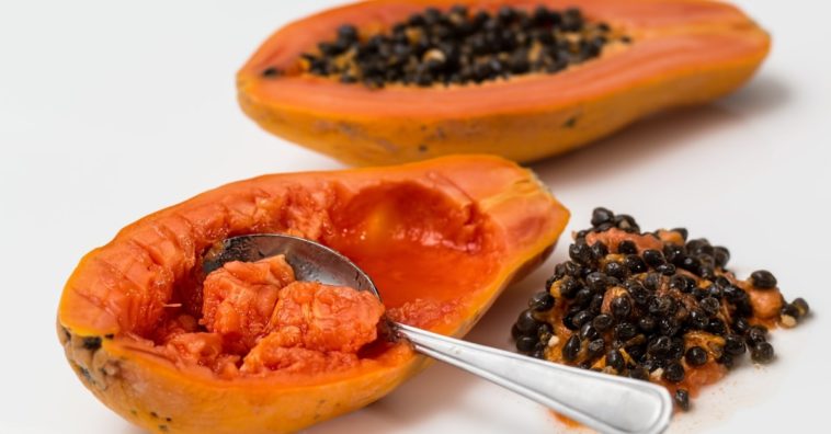 contraindicaciones de las semillas de papaya