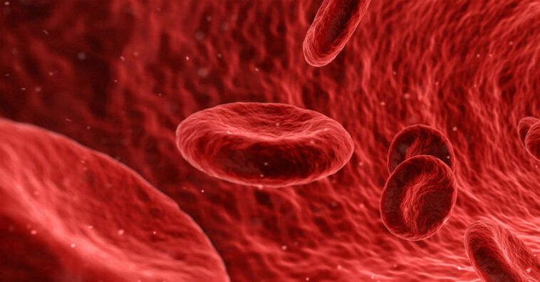 controla y previene la anemia