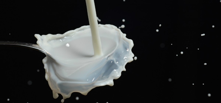 curar una olla de barro leche
