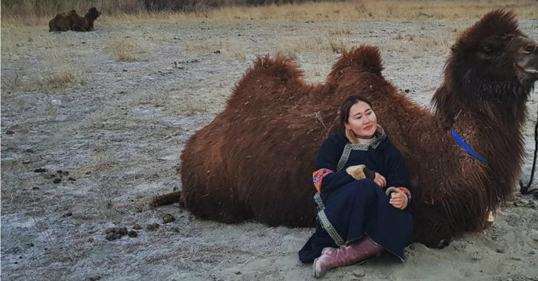 de camello de Mongolia hasta Londres