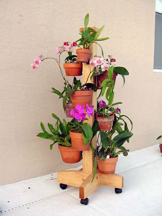 decorar la casa con orquídeas