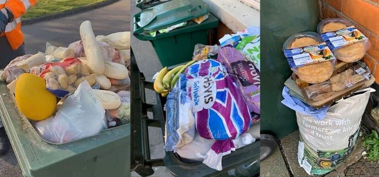 desperdicio después de que las personas almacenaran comida en la pandemia
