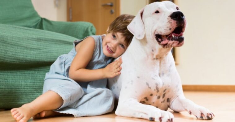 diferencia entre la raza de perro grande y la de un gigante