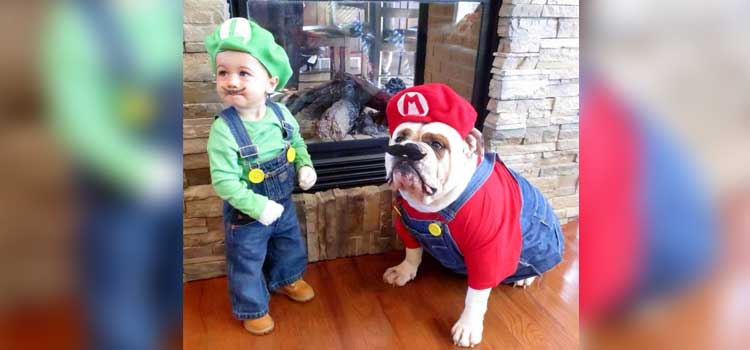 disfraces de Halloween para mascotas luigi