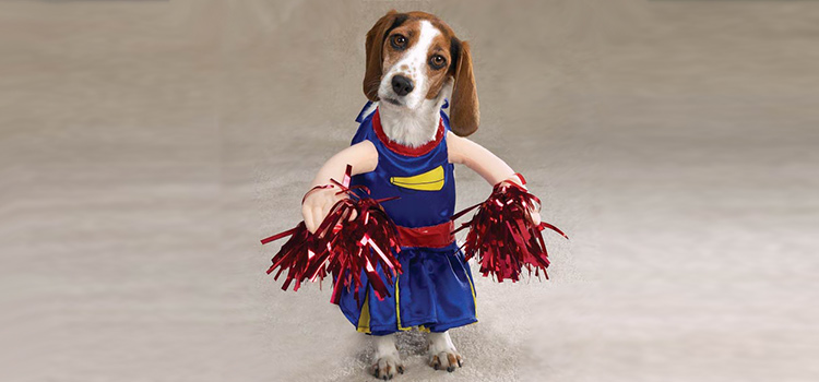 disfraces de halloween para mascotas cheerleader