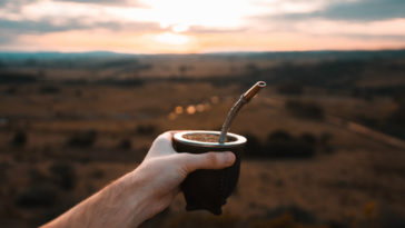 el mate hace bien a la salud