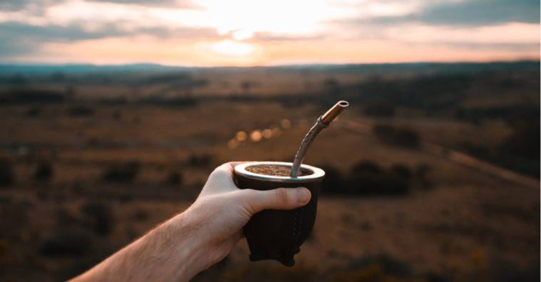 el mate hace bien a la salud