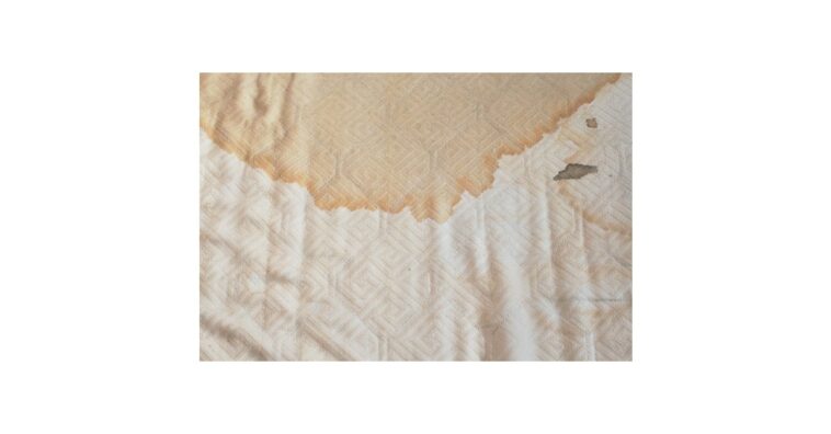 eliminar los rastros de orina y las manchas del colchón