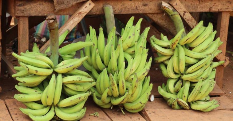 empanadas de platano