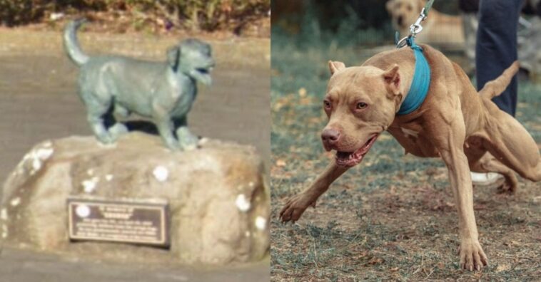 estatua en honor a George